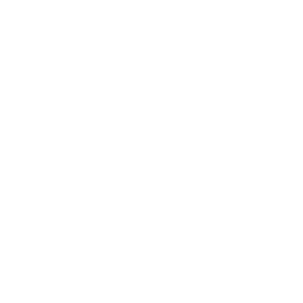 Execution Execution